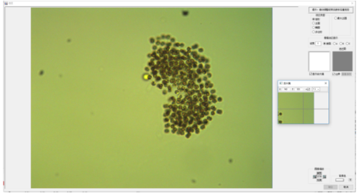 藻类颗粒图像分析软件